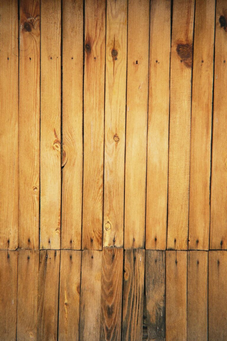 Free stock photo of almaty, almaty 2024, talgar
